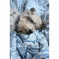 Cheapest π€© Eddie Bauer City Scene Milan Duvet Set 𧨠18 Cheapest π€© Eddie Bauer City Scene Milan Duvet Set 𧨠-Bedding Sets & Collections Sales Shop unnamed file 10701