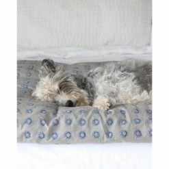 Cheapest π€© Eddie Bauer City Scene Milan Duvet Set 𧨠19 Cheapest π€© Eddie Bauer City Scene Milan Duvet Set 𧨠-Bedding Sets & Collections Sales Shop unnamed file 10702