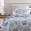 Cheapest 👏 Ocean Isle Cotton Quilt & Sham Set Blue - Tommy Bahama 🎁
