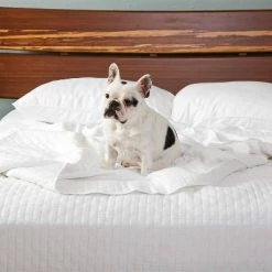 Hot Sale 😀 BedVoyage Rayon Viscose Bamboo Bedding Collection ✨ -Bedding Sets & Collections Sales Shop unnamed file 484